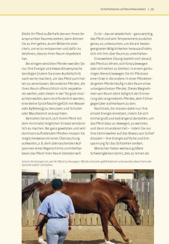 Was Pferde wirklich brauchen