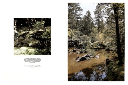 Japanische Gärten. Rechter Winkel und natürliche Form