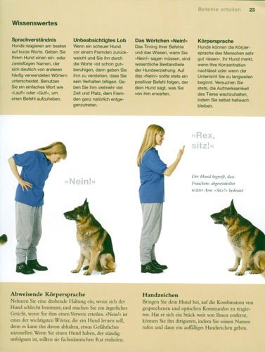 Hunde erziehen: Mein Übungsbuch für unterwegs