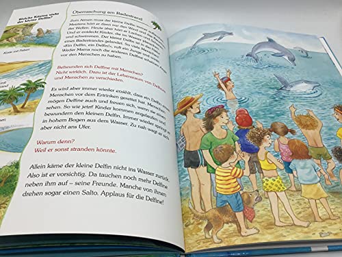 Der kleine Delfin und seine Freunde im Meer: Sachbilderbuch über Umwelt, Natur und Tiere mit Hörspiel für Kindergarten und Grundschule: Eine Geschichte mit vielen Sachinformationen