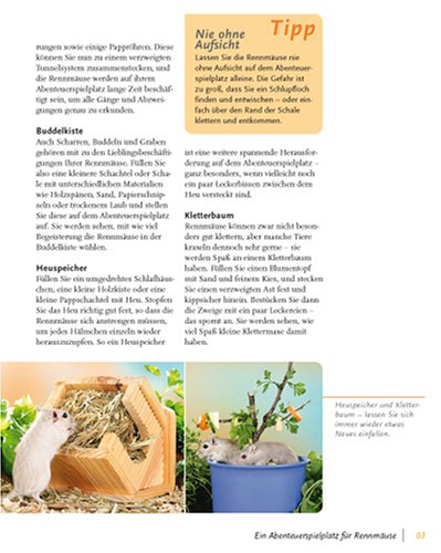 Rennmäuse: halten & pflegen, verstehen & beschäftigen