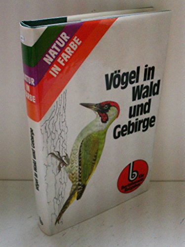 Vögel in Wald und Gebirge