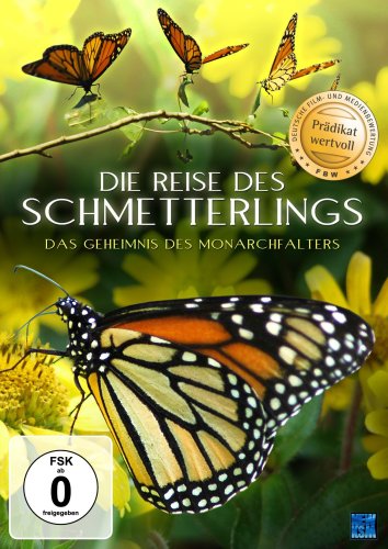 Die Reise des Schmetterlings - Das Geheimnis des Monarchfalters
