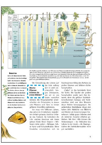 Was ist was, Band 031: Bäume