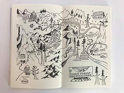 Unter dem Zelt der Sterne: Eine romantische Komödie über den Neuanfang in Sachen Liebe