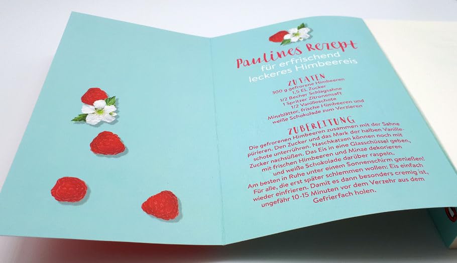 Ein Sommer voller Himbeereis: Roman