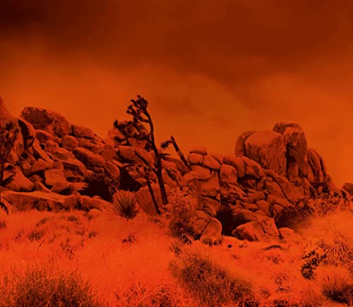 No Mercy - Diese Fahrt überlebst du nicht: Thriller