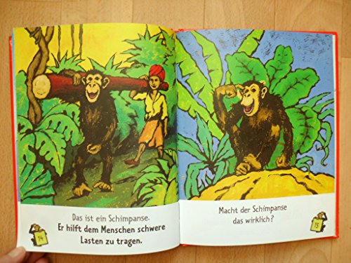 Der Bär legt ein Ei