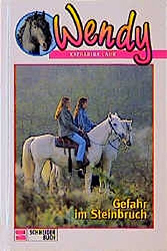 Wendy, Bd.13, Gefahr im Steinbruch