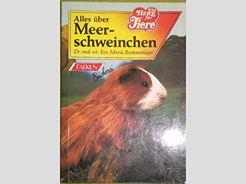 Alles über Meerschweinchen.