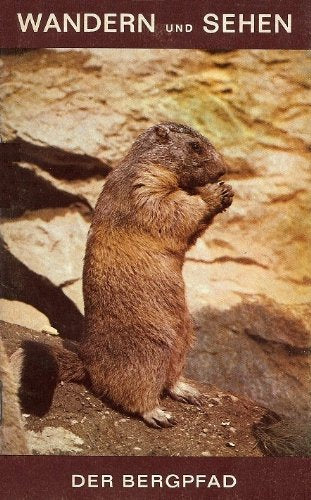 Wandern und Sehen. Der Bergpfad