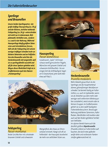 Vögel füttern - aber richtig: Anlocken, schützen, sicher bestimmen