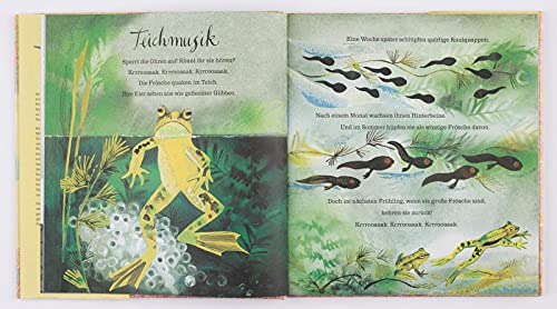 Mein erstes großes Buch von der Natur
