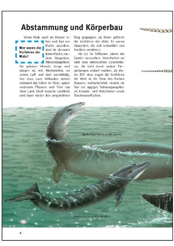 Was ist was, Band 085: Wale und Delfine