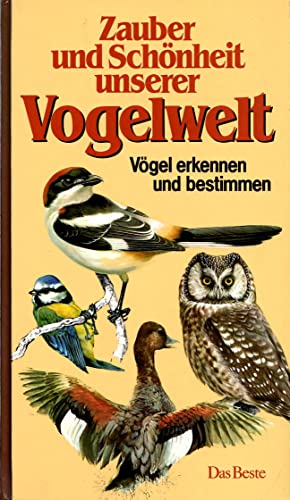 Zauber und Schönheit unserer Vogelwelt: Vögel erkennen und bestimmen