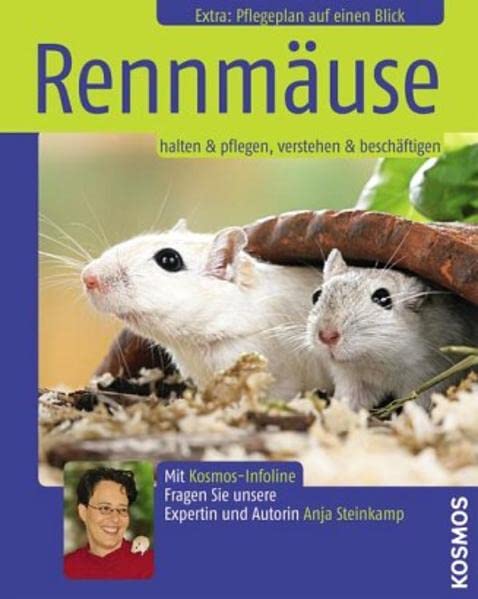 Rennmäuse: halten & pflegen, verstehen & beschäftigen