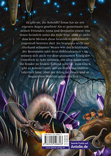 Gnorl: Fantastischer Abenteuerroman zum Schmökern für junge Fantasy-Fans