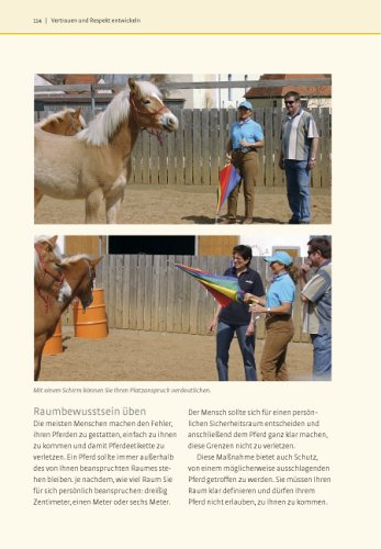 Was Pferde wirklich brauchen