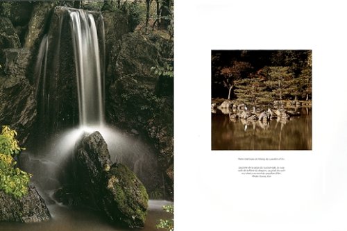 Japanische Gärten. Rechter Winkel und natürliche Form