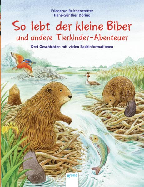 So lebt der kleine Biber und andere Tierkinder-Abenteuer: Drei Geschichten mit vielen Sachinformationen