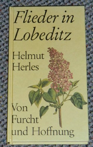 Flieder in Lobeditz