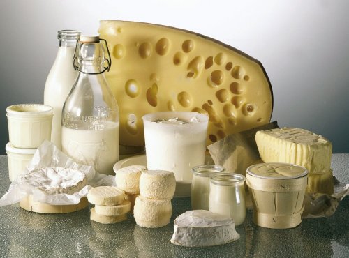 Das Feinschmecker-Handbuch Käse