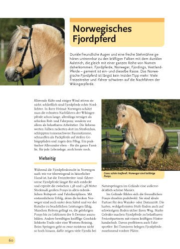 Alles über Ponys: Rassen, Haltung und Pflege, Reiten und Fahren