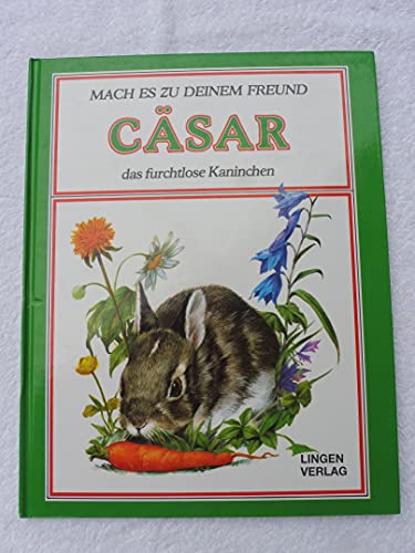 Cäsar, Das Furchtlose Kaninchen, Mach Es Zu Deinem Freund