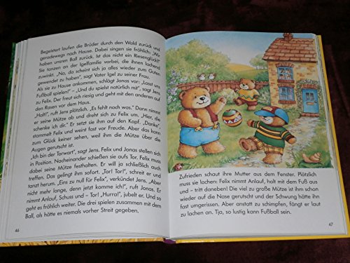 Lustige Teddygeschichten