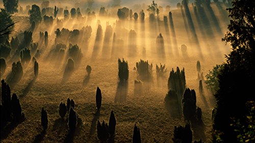 Wildes Deutschland 2 - Bilder einzigartiger Naturschätze - National Geographic