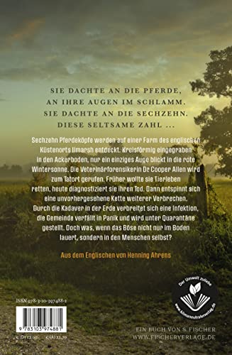 Sechzehn Pferde: Roman | »So etwas wie ›Sechzehn Pferde‹ haben Sie noch nicht gelesen. Ein zutiefst beunruhigender Ritt.« Val McDermid