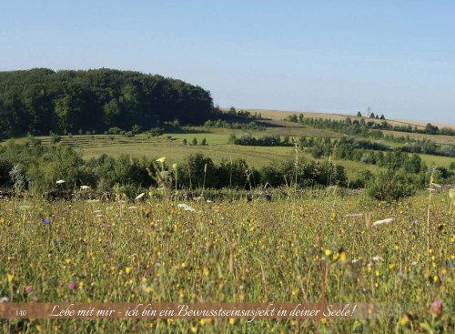 Lebe mit mir. Ich bin ein Bewusstseinsaspekt in deiner Seele
