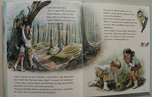 Entdeck mit uns die Tiere im Wald!