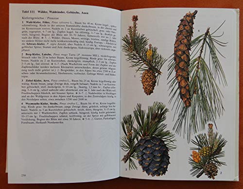 BLV Bestimmungsbuch. Pflanzenführer. Über 1400 Pflanzenarten Deutschlands und der Nachbarländer, davon 1020 farbige abgebildet