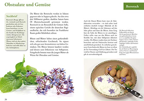 Die ganze Welt der Gewürze- von Anis bis Zimt