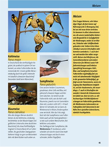 Vögel füttern - aber richtig: Anlocken, schützen, sicher bestimmen