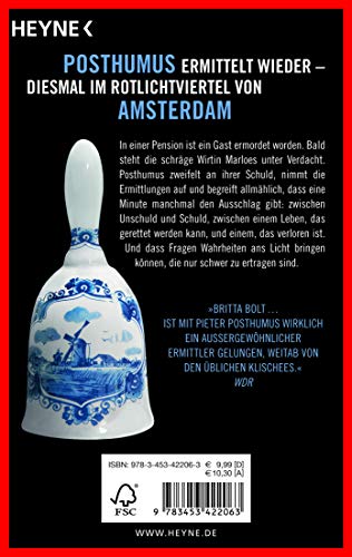 Das Haus der verlorenen Seelen: Der zweite Fall für Pieter Posthumus (Pieter-Posthumus-Serie, Band 2)