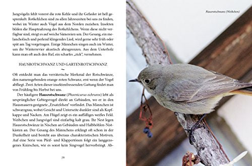 Das große kleine Buch: Unsere Gartenvögel und wie sie sich zu Hause fühlen