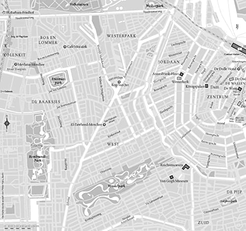 Das Haus der verlorenen Seelen: Der zweite Fall für Pieter Posthumus (Pieter-Posthumus-Serie, Band 2)