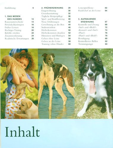 Hunde erziehen: Mein Übungsbuch für unterwegs
