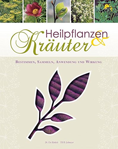 Heilpflanzen & Kräuter