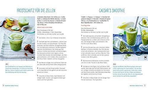 Grüne Smoothies: Vitalstoff-Power aus dem Mixer