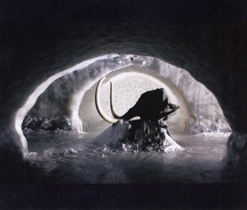 Die Arktis: Das weiße Paradies