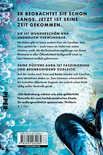 Stranger – Du wirst ihm verfallen: Roman