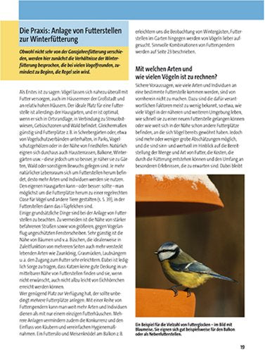 Vögel füttern - aber richtig: Anlocken, schützen, sicher bestimmen