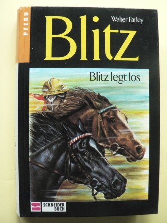 Blitz, Bd.6, Blitz legt los