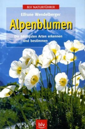 Alpenblumen: Die häufigsten Arten erkennen und bestimmen