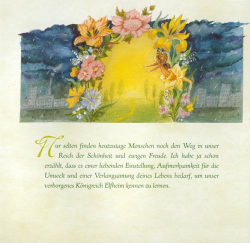 Das kleine Buch der Feen und Elfen