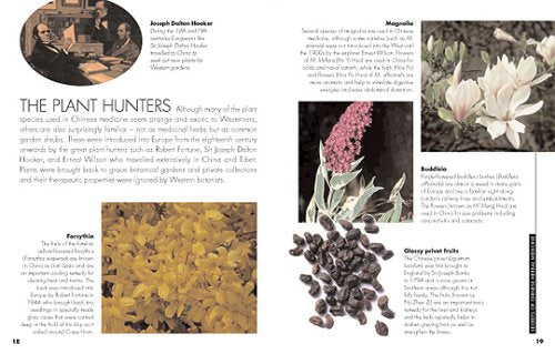 Chinesische Heilkräuter. Geheime Künste