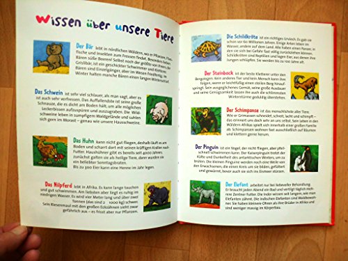 Der Bär legt ein Ei